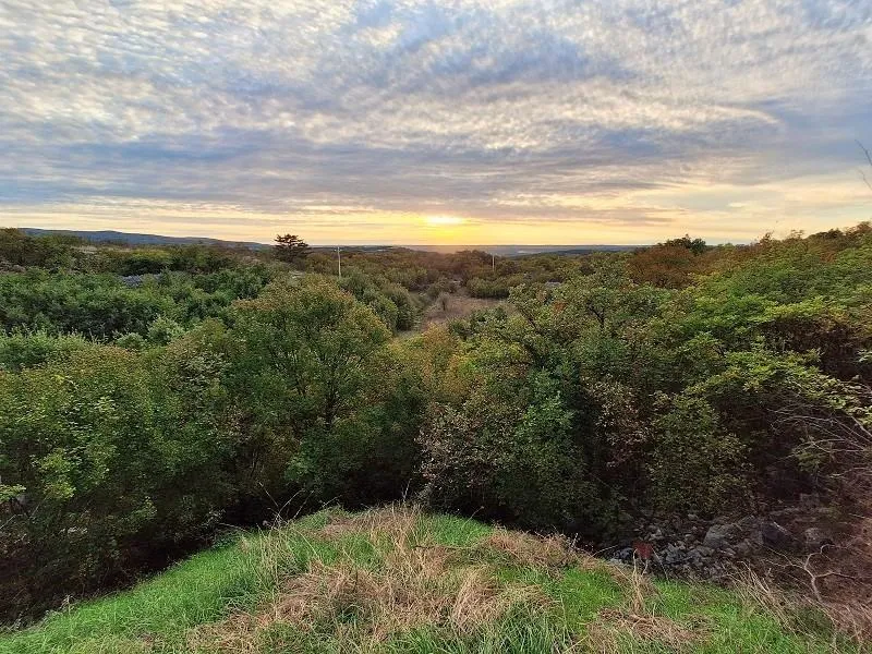 Labin, Ripenda Kras- 4 km od Rapca, 8480 m2 poljoprivredno zemljište - cover