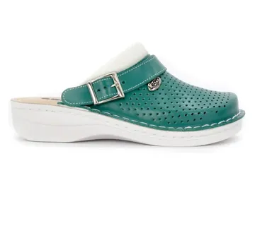 ANATOMSKE KLOMPE, Zelena, BCEBI - cover