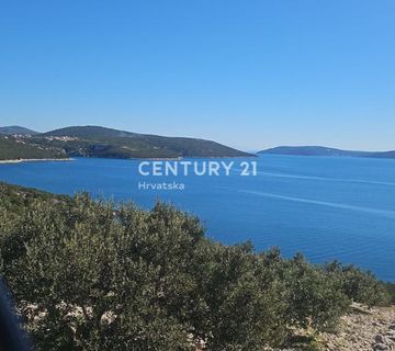 Rijetkost! Maslinik na moru – prvi red, Vinišće - cover