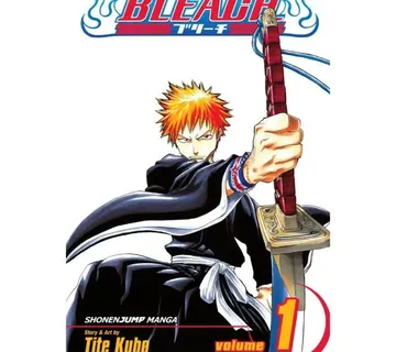 Bleach vol. 1 - cover