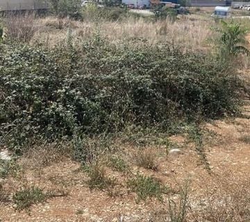 Prodaja građevinskog zemljišta na atraktivnoj lokaciji, Loborika! - cover