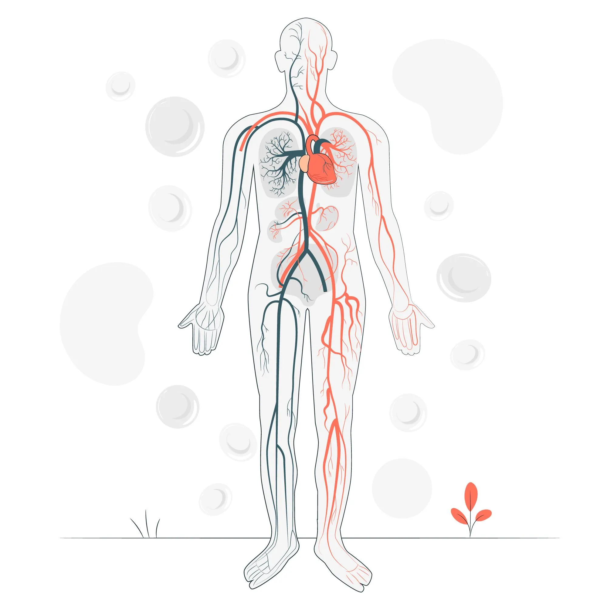 Opća Interna Medicina - Aplikacija lijekova i intravenskih infuzija - cover