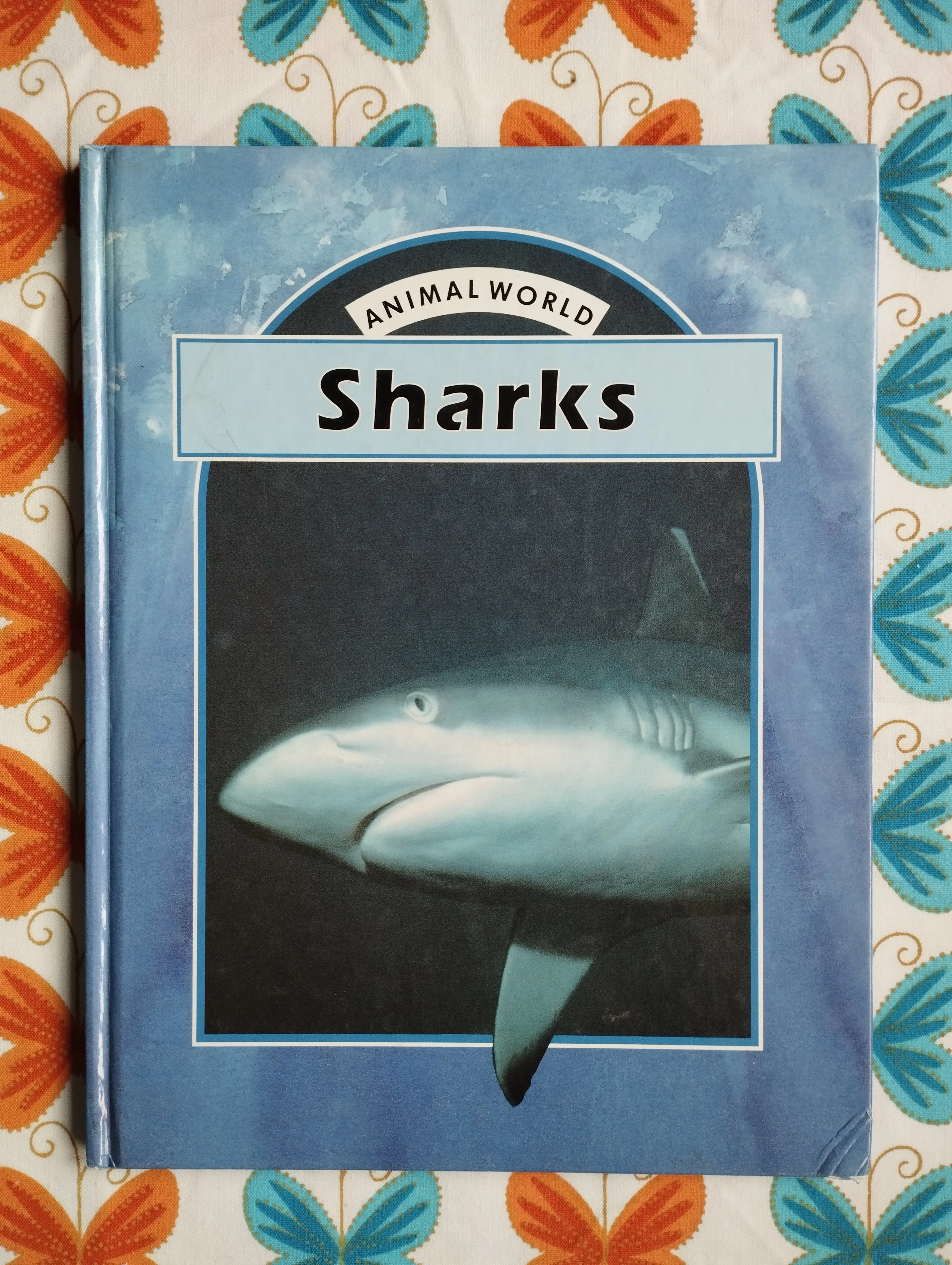 Jenny Wood - Animal World - Sharks - cover