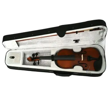 JQ JVN-01A 4/4 VIOLINA - cover