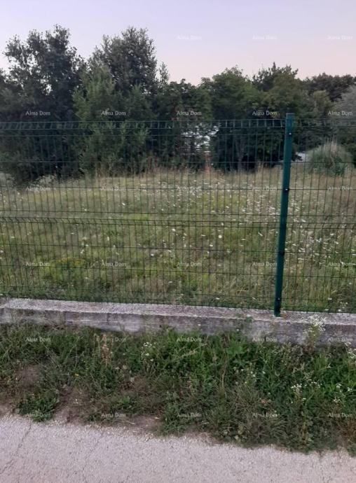 Fotografija