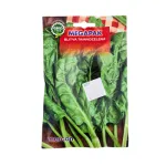 Blitva tamnozelena - cover