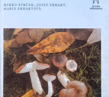 GLJIVE Mirko Svrček Prag 1984 KNJIGA NA ČEŠKOM JEZIKU - cover