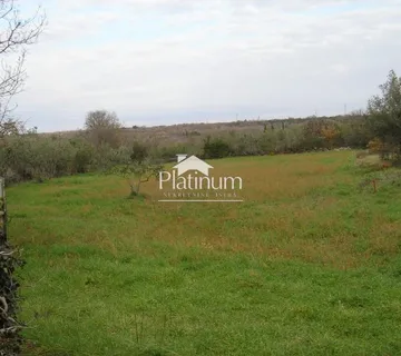 Istra,Peroj poljoprivredno zemljište veličine 2942 m2 - cover