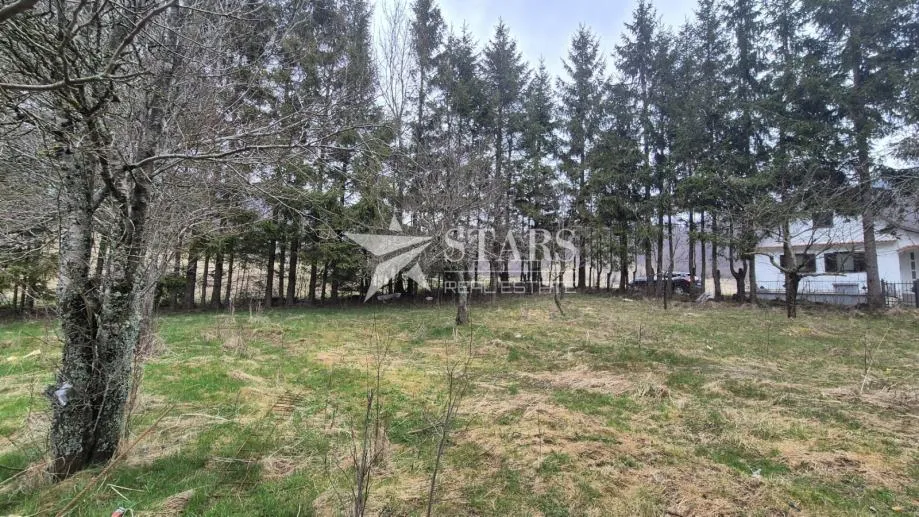 Fotografija