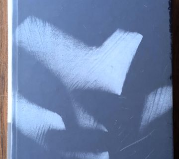 ANARHIZAM I DRUGI OGLEDI Emma Goldman - cover