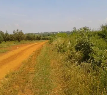 Zemljište Prodaja Vabriga 12864 m2 - cover