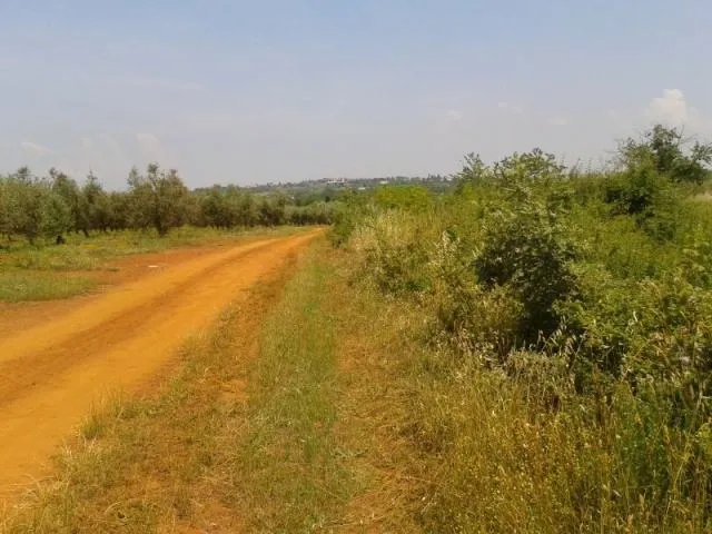 Zemljište Prodaja Vabriga 12864 m2 - cover