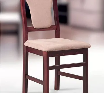 STOLICA RAJNA - cover