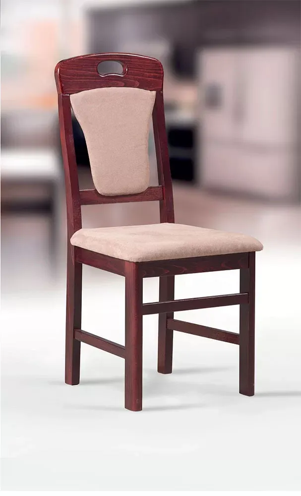 STOLICA RAJNA - cover