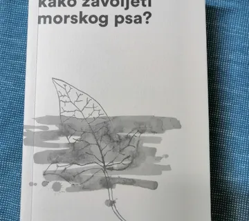 Nataša Govedić – Kako zavoljeti morskog psa? - cover