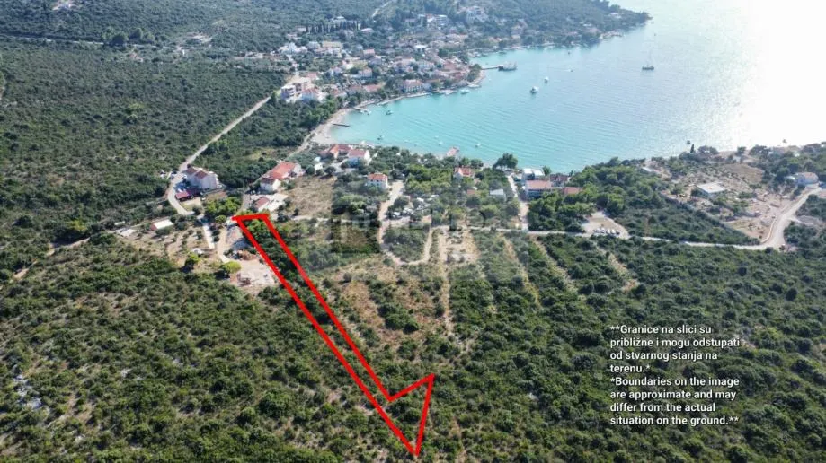 Fotografija