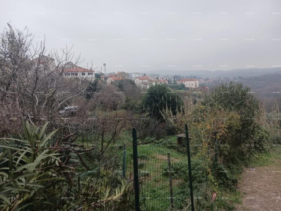 Fotografija