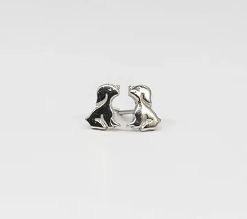 Srebrne naušnice Iantha - cover