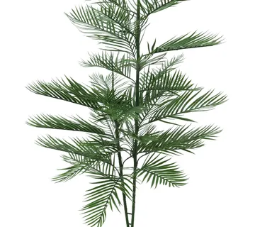 EUROPALMS Kentia palm tree, 150cm - cover