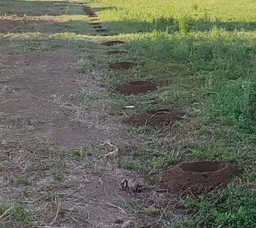 UGRADNJA (MONTAŽA, POSTAVLJANJE) Panel ograda - 0959981080 - cover