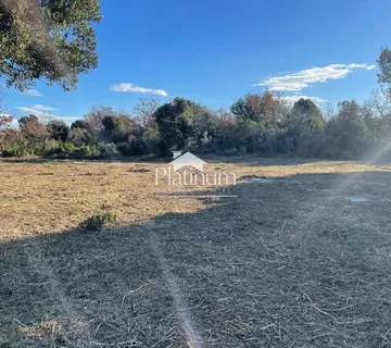 Istra, Bale, poljoprivredno zemljište 8000 m2 - cover