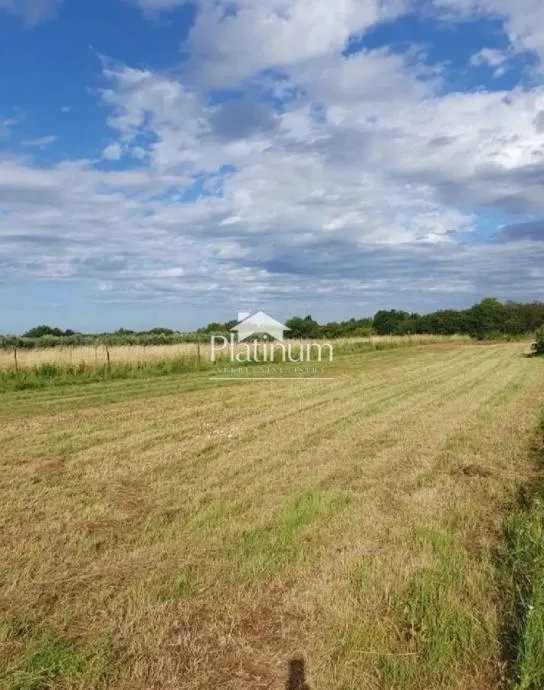 Fotografija