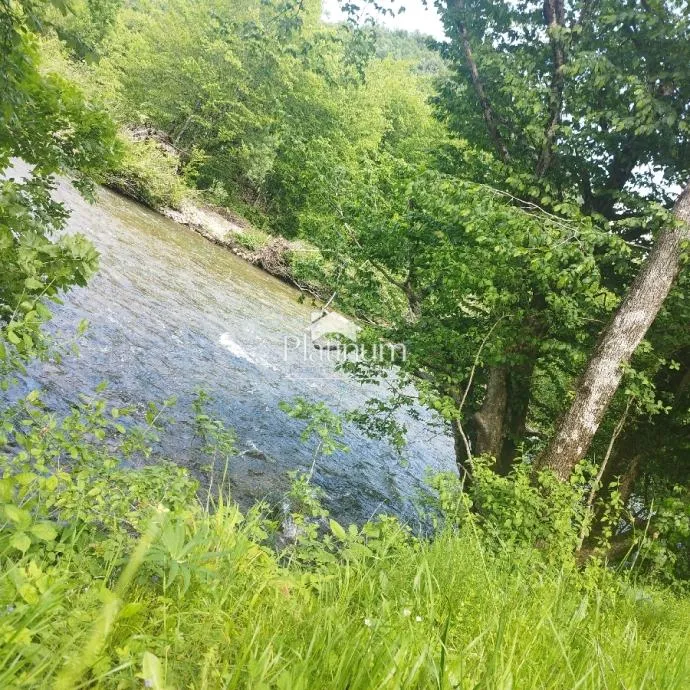 Fotografija