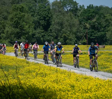 Lonjsko polje - Team building - Krapje, Jasenovac