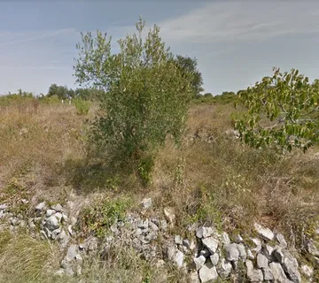 POLJOPRIVREDNO ZEMLJIŠTE POGODNO ZA NASAD MASLINA, ŠOLTA - GORNJE SELO - cover