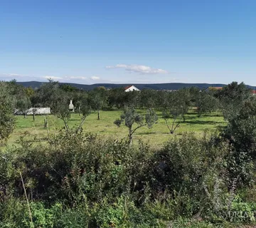 GRAĐEVINSKO ZEMLJIŠTE, PRAVILNOG OBLIKA, 250 m OD MORA, PAŠMAN - DOBROPOLJANA - cover