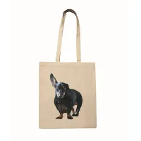 Platnena vrećica s fotografijom kućnog ljubimca - cover