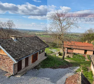 Draž obiteljska vinarija sa stambenim dijelom 766 m2 na 1,7ha - Draž, Draž