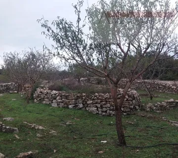 Brač Donji Humac 10630 m2 sa objektom - Donji Humac, Nerežišća