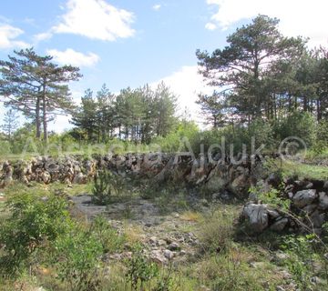 Imotski Grubine 4553 m2 građevinsko zemljište  - cover