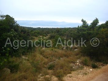 Šolta - Maslenica, poljoprivredno zemljište 26000 m2 - cover