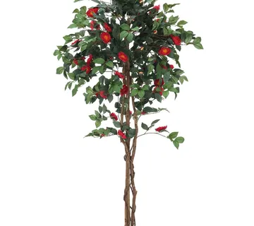 EUROPALMS Camelia red cemented 180cm - cover