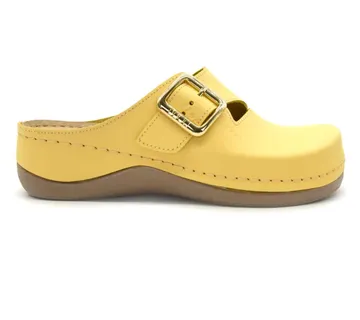 ANATOMSKE KLOMPE, Žuta, BBFCI - cover