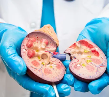 Nefrološka ambulanta - Nutricionističko savjetovanje - cover