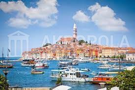 Rovinj, poljoprivredno zemljište na prodaju. - cover