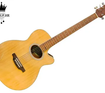 AKUSTIČNA GITARA ARIA FET-SPT N / R1, RATE !! - cover