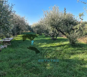 Trogir, velika građevinska čestica s idejnim projektom, 1.211 m2