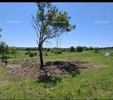 Građevinsko zemljište Građevinska parcela 1.200 m² + poljoprivredno zemljište 4.400 m² – Vižinada