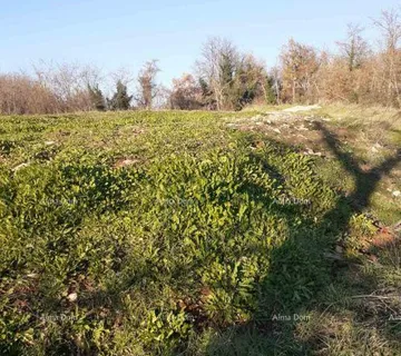 Građevinsko zemljište Prodaje se zemljište u Brtonigli (Istra) –građevinsko i   poljoprivredno, ukupne površine 5.000 m² - cover