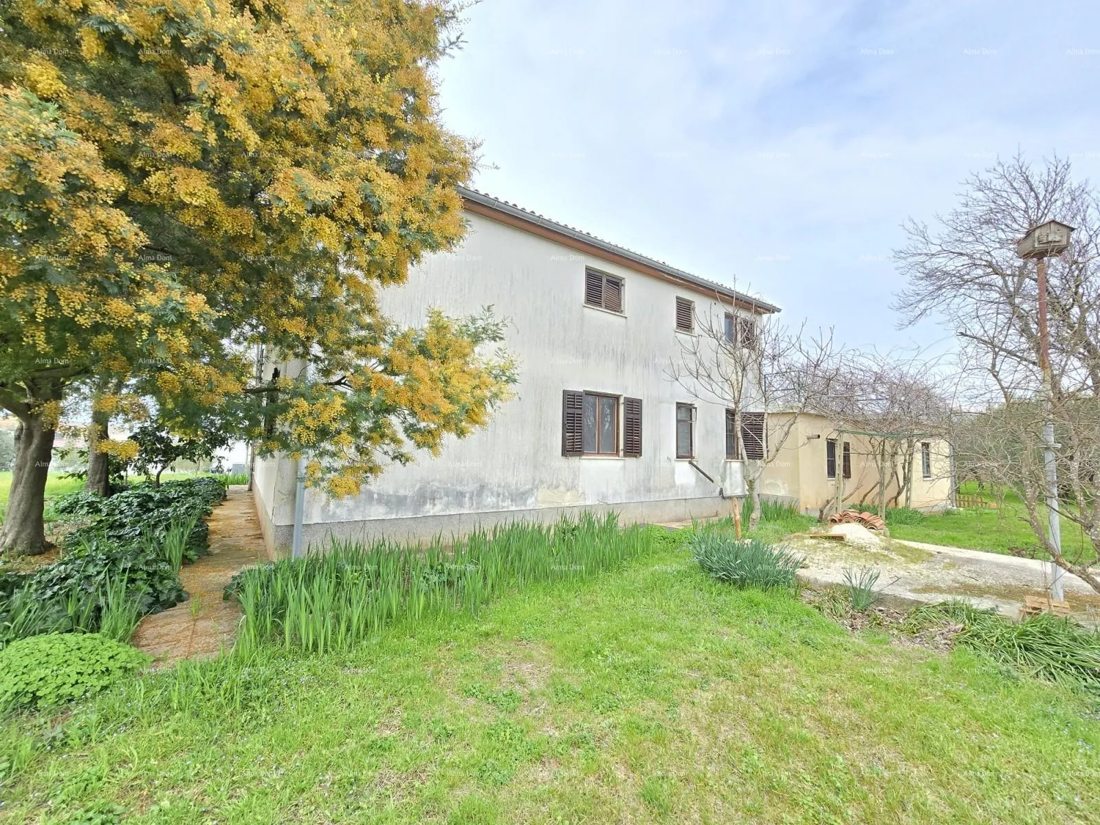 Kuća Prostrana kuća u blizini Pule ! Dva stana- 2500 m² zemljišta! - cover