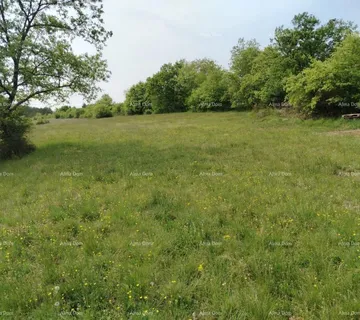 Građevinsko zemljište Građevinsko zemljište 3.528 m² , u blizini Grožnjana