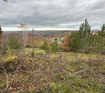 Građevinsko zemljište BUJE – GRAĐEVINSKO ZEMLJIŠTE 990 m² - cover
