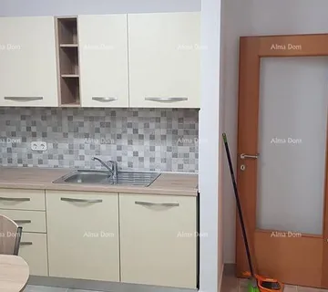 Stan Prodaja velikog stana sa vrtom, Tar, Vabriga!