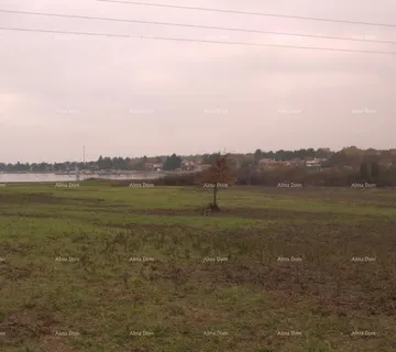 Građevinsko zemljište Prodaje se građevinsko zemljište, okolica Novigrada.