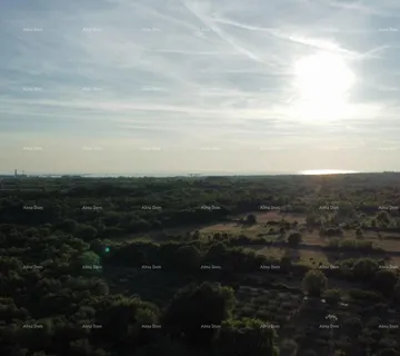 Građevinsko zemljište Vodnjan – građevinsko+ poljoprivredno zemljište 8000m2
