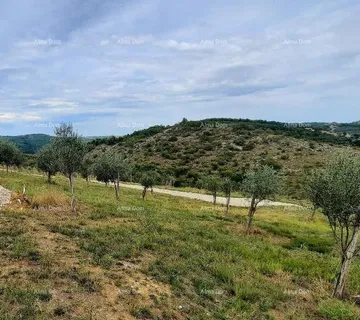 Građevinsko zemljište Momjan – prodaja građevinskog zemljišta na odličnoj lokaciji. - cover